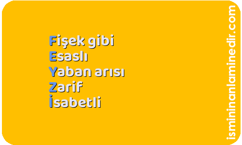 Feyzi isminin anlamı