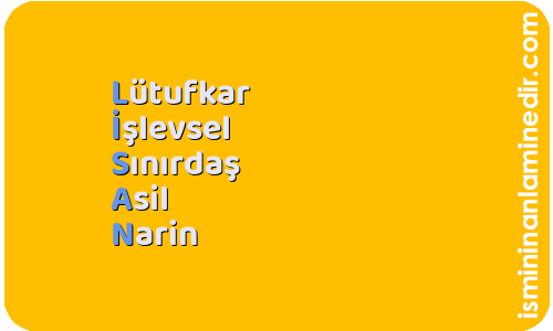 Lisan isminin anlamı